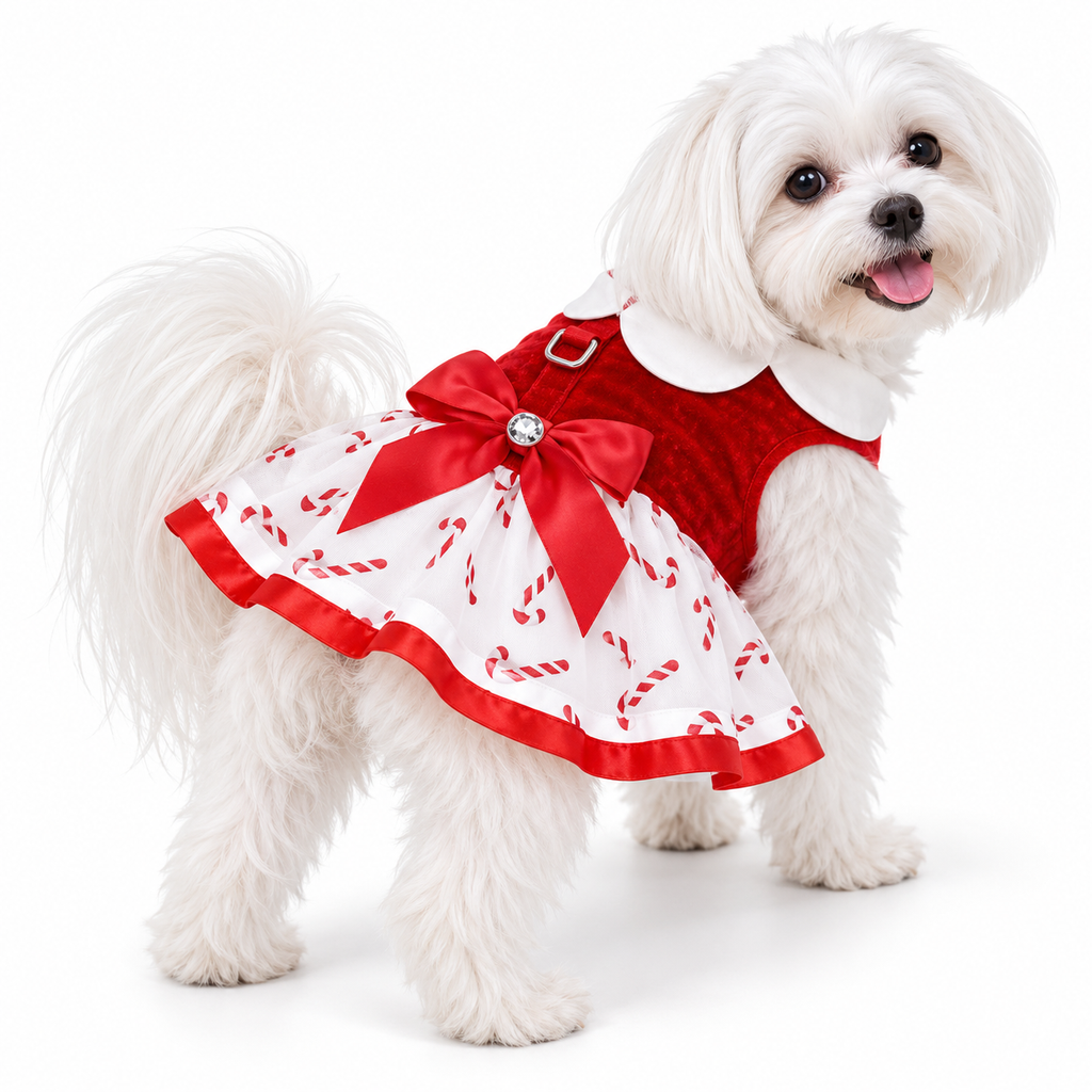 Candy Canes Holiday Dog Harness Dress with Matching Leash