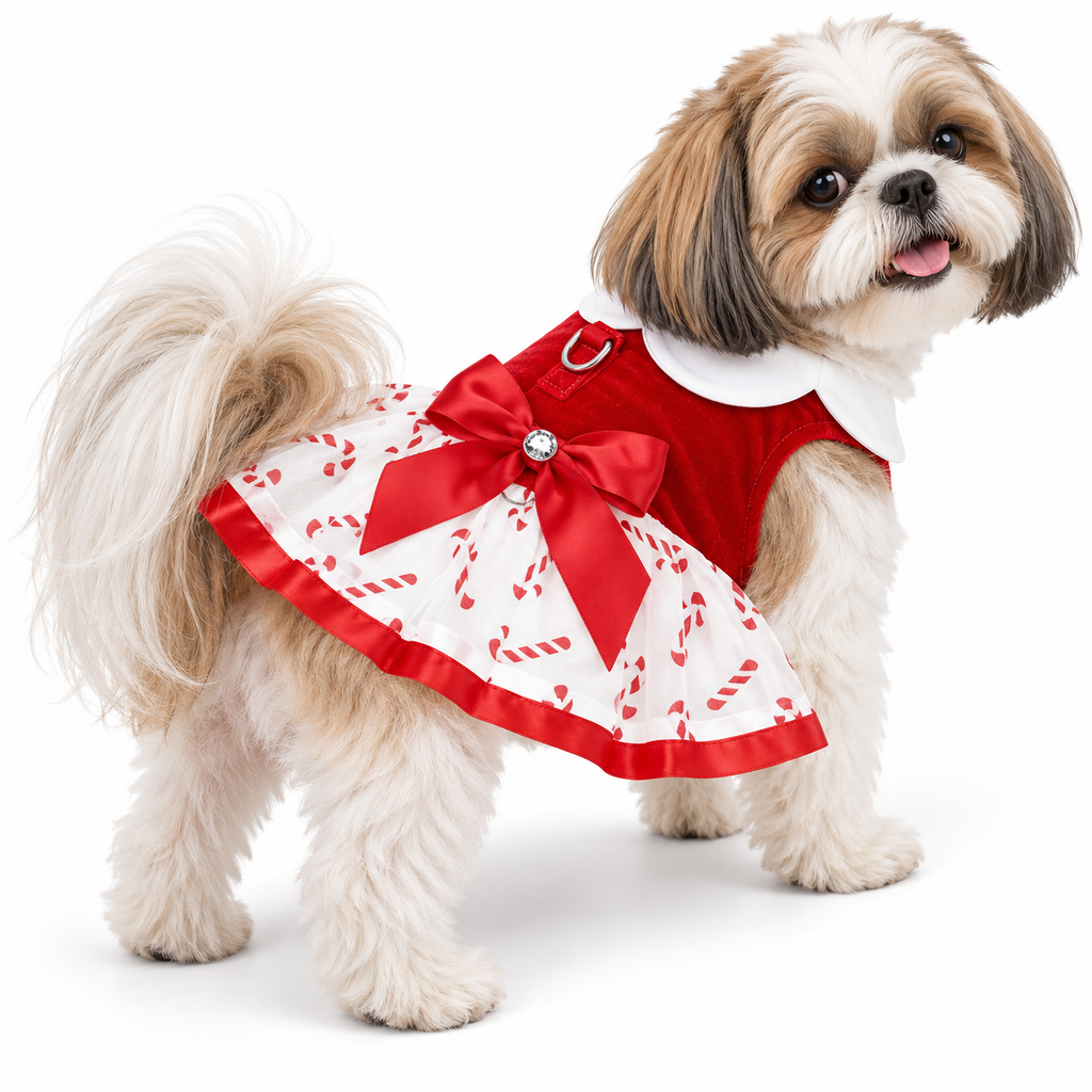 Candy Canes Holiday Dog Harness Dress with Matching Leash