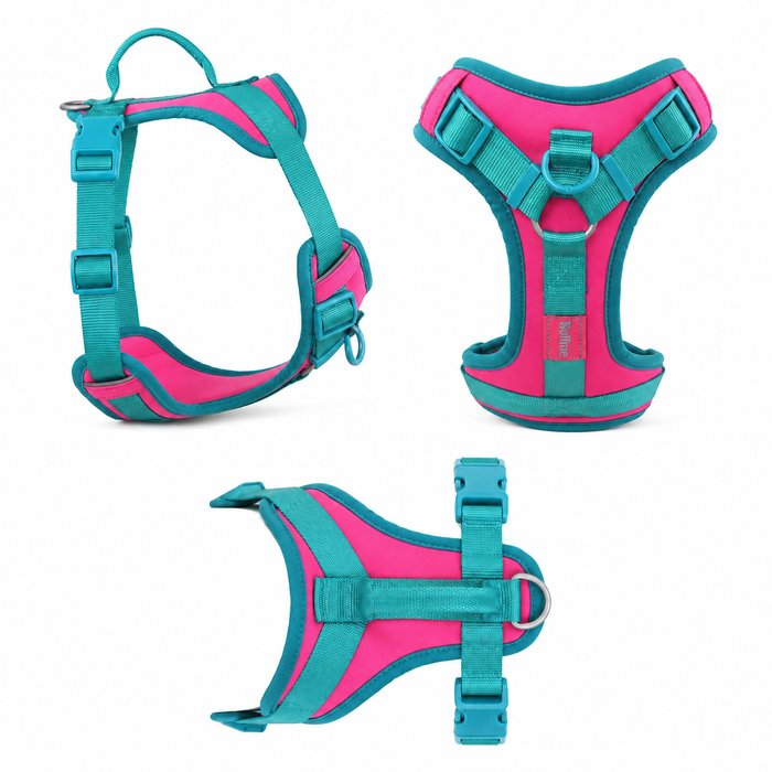 Luxury Harnesses