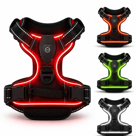 LED Light-Up Dog Harness – USB Rechargeable Glow Vest for Night Walking