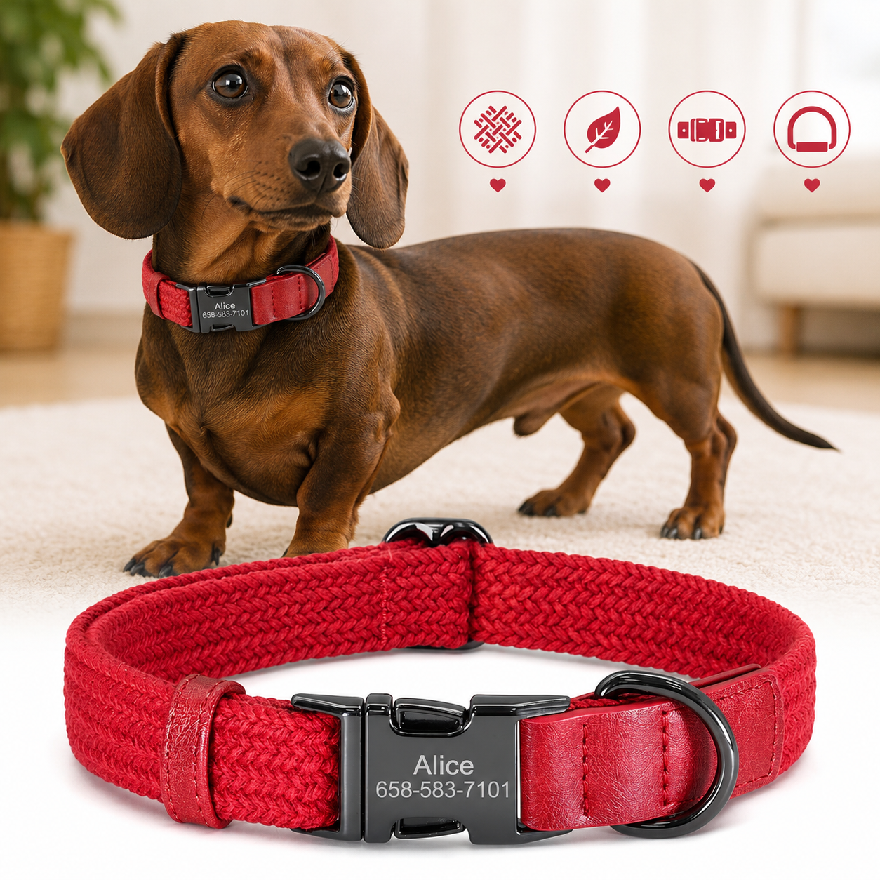 Custom Engraved Nylon Dog Collar with Name Buckle – Adjustable for Small to Large Dogs