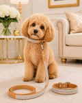 Bling Rhinestone Dog Collar & Leash Set
