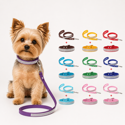 Bling Rhinestone Dog Collar & Leash Set