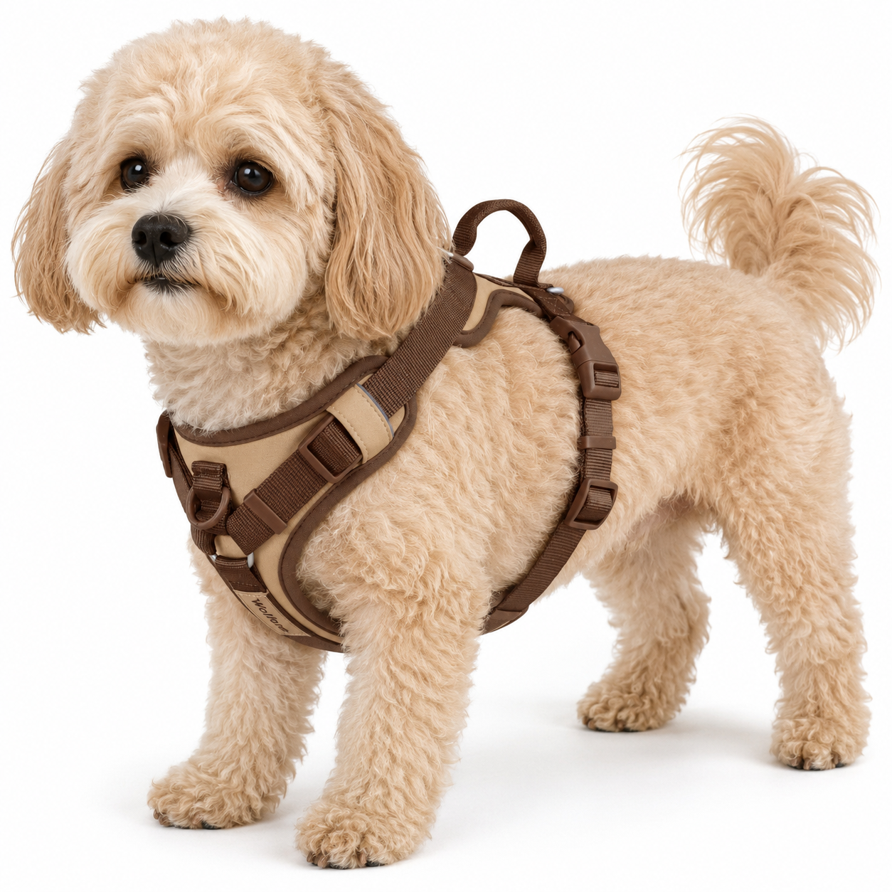 Splicing Colors No-Pull Dog Harness – Breathable Adjustable Vest for Small to Large Dogs