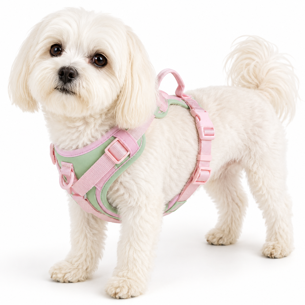 Splicing Colors No-Pull Dog Harness – Breathable Adjustable Vest for Small to Large Dogs