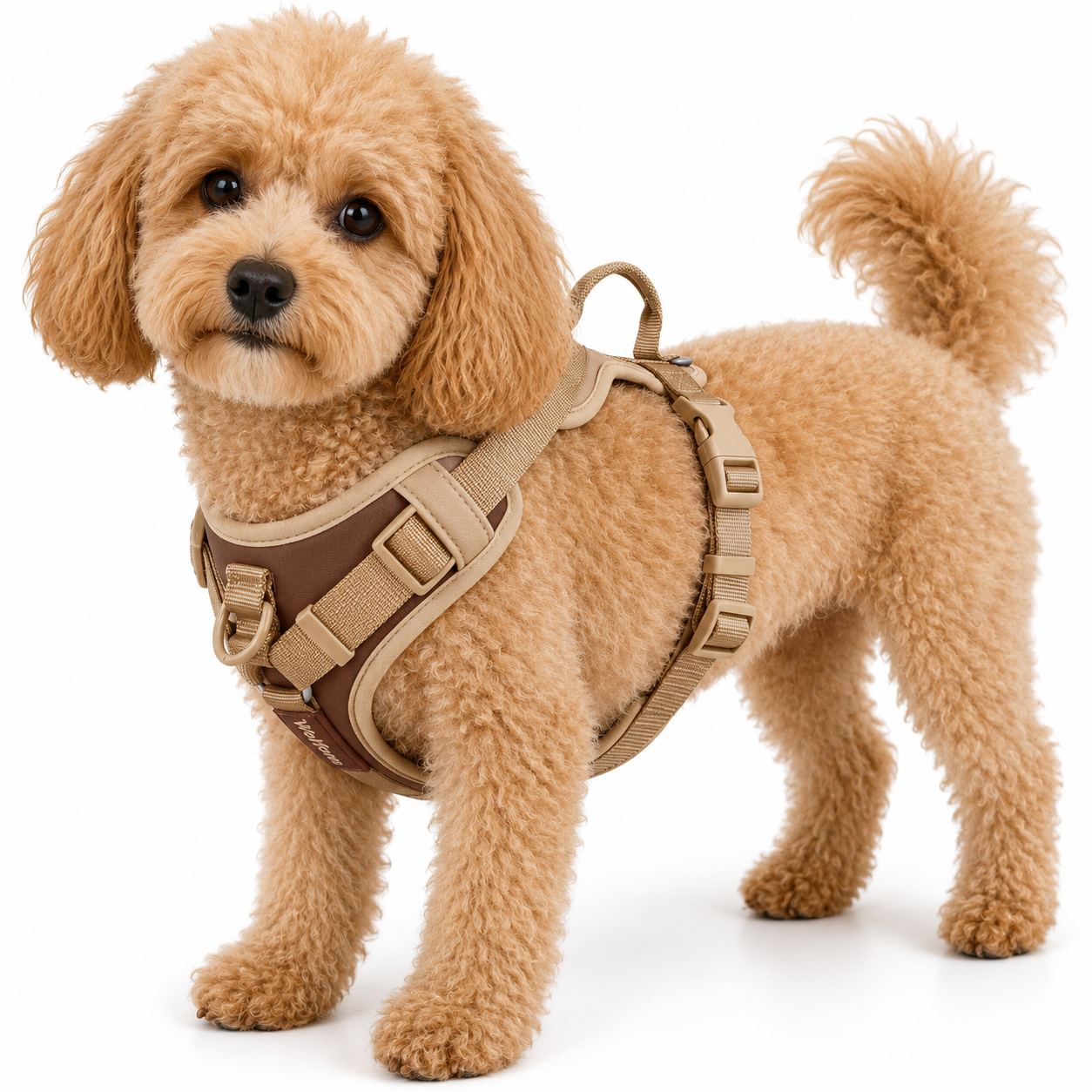 Splicing Colors No-Pull Dog Harness – Breathable Adjustable Vest for Small to Large Dogs