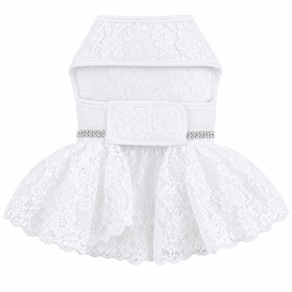 White lace skirt with a belt on a white background