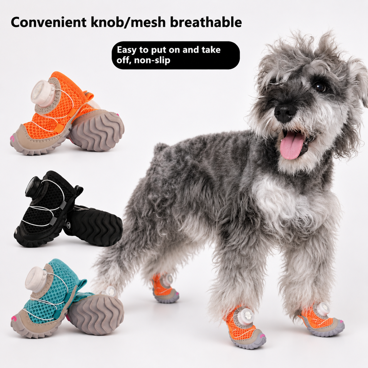 Dog wearing colorful shoes with text about convenience and comfort on a white background
