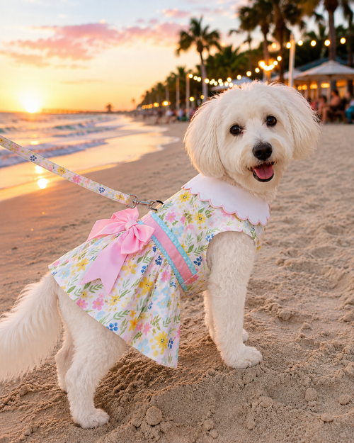 Pastel Meadow Dog Dress with Matching Leash