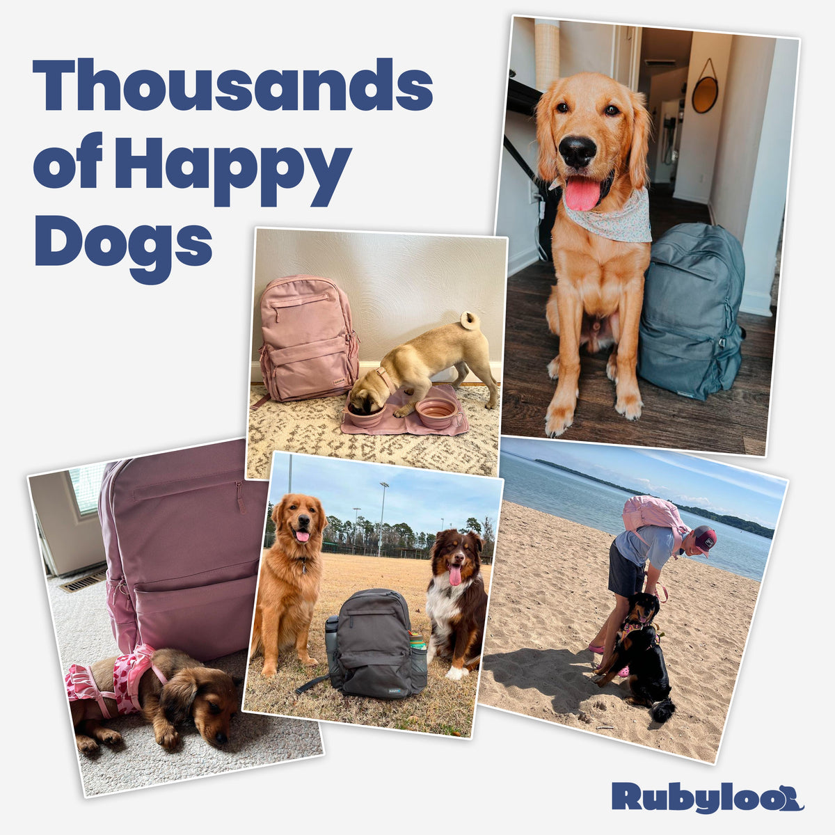The Original Doggy Bag® Backpack for Dog Supplies (Personalize it!)