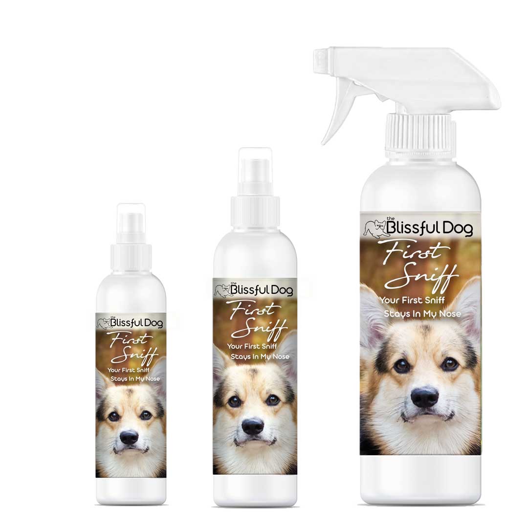 First Sniff Dog Cologne - Your First Sniff Stays on My Mind