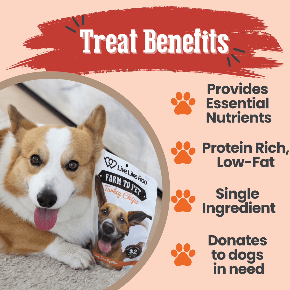 Live Like Roo Turkey Chips for Dogs | Dog Treats That Give Back