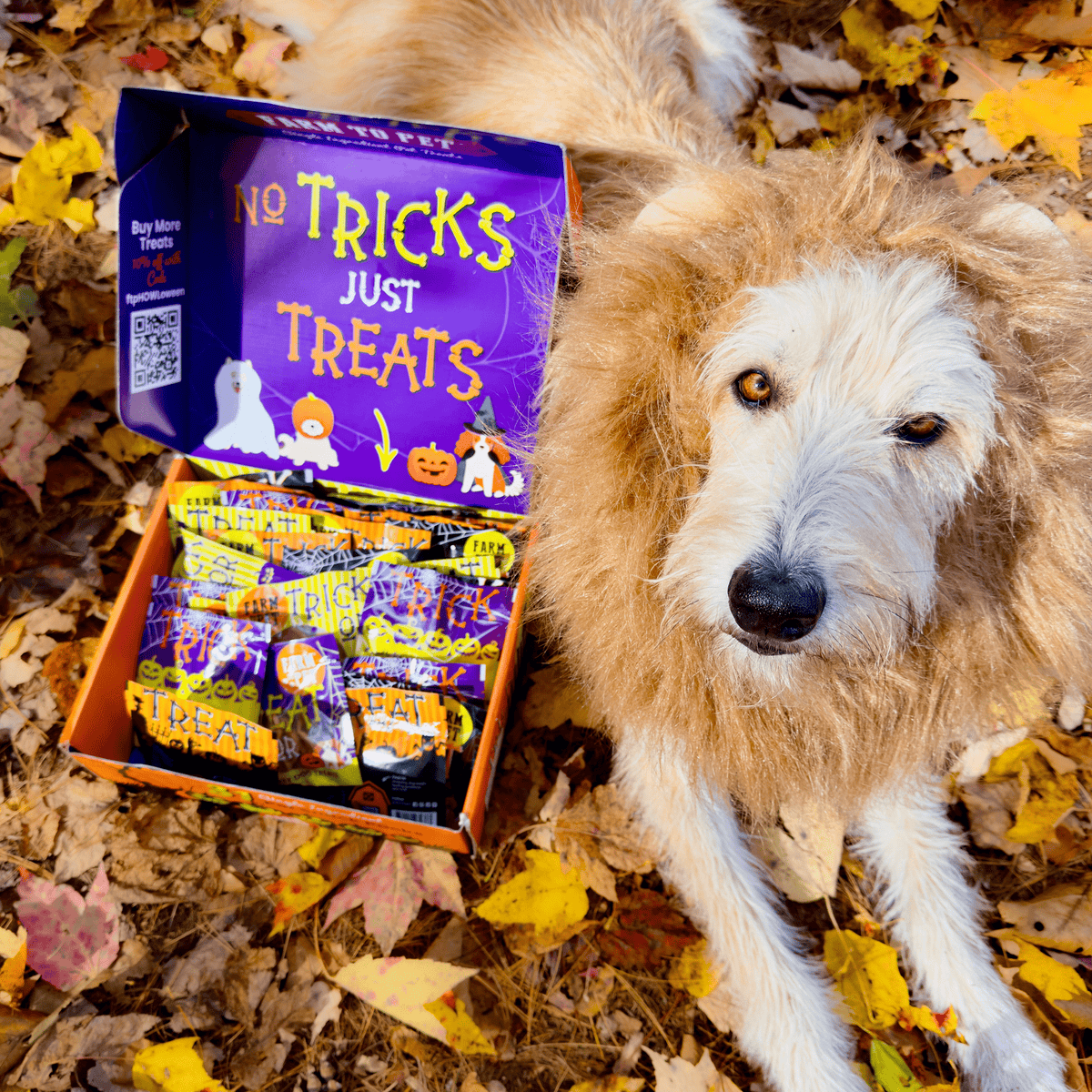 Halloween 31 Snack Pack Dog Treat Box