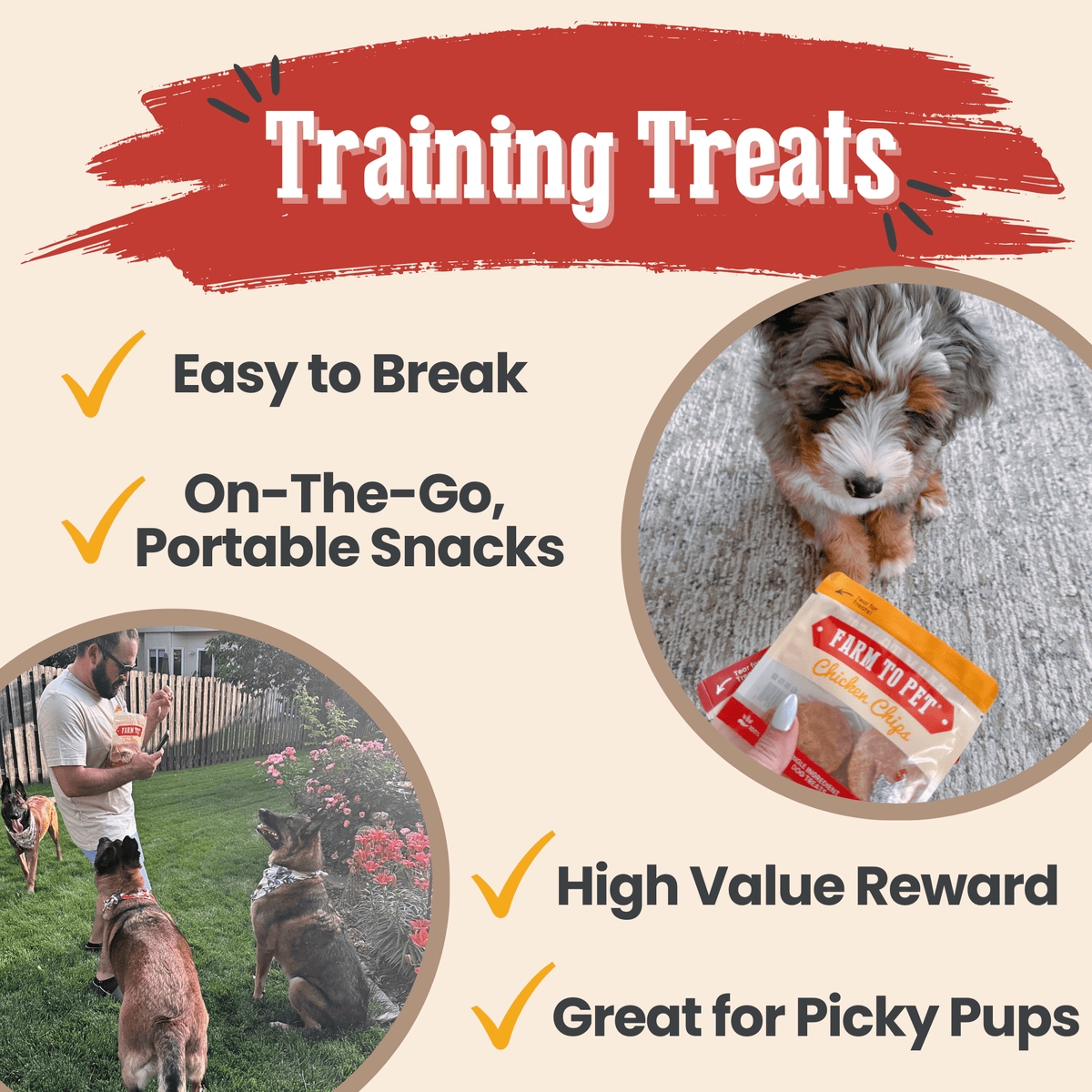 Snack Pack Dog Treat Sampler
