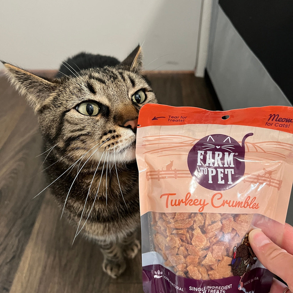Turkey Crumbles for Cats | Grain-Free Cat Treats