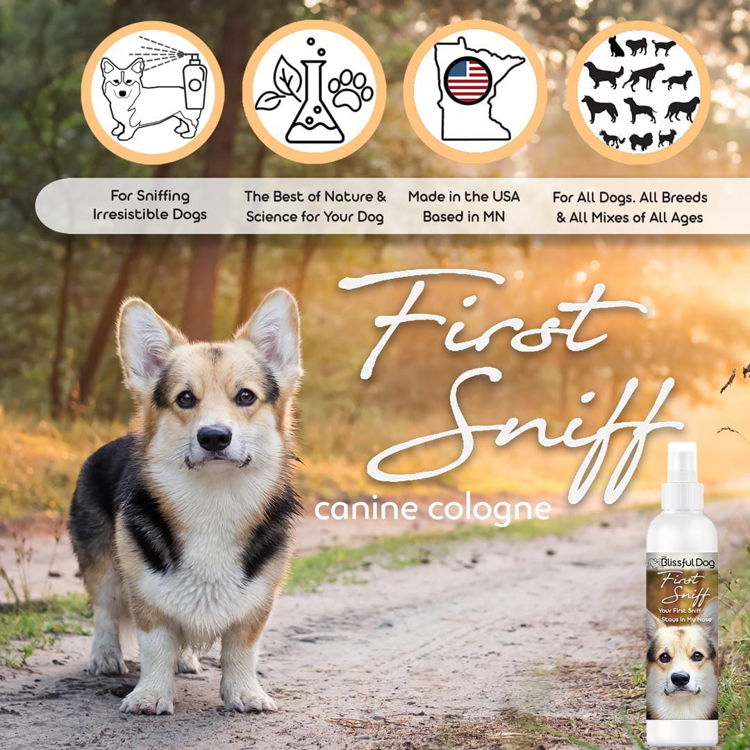 First Sniff Dog Cologne - Your First Sniff Stays on My Mind