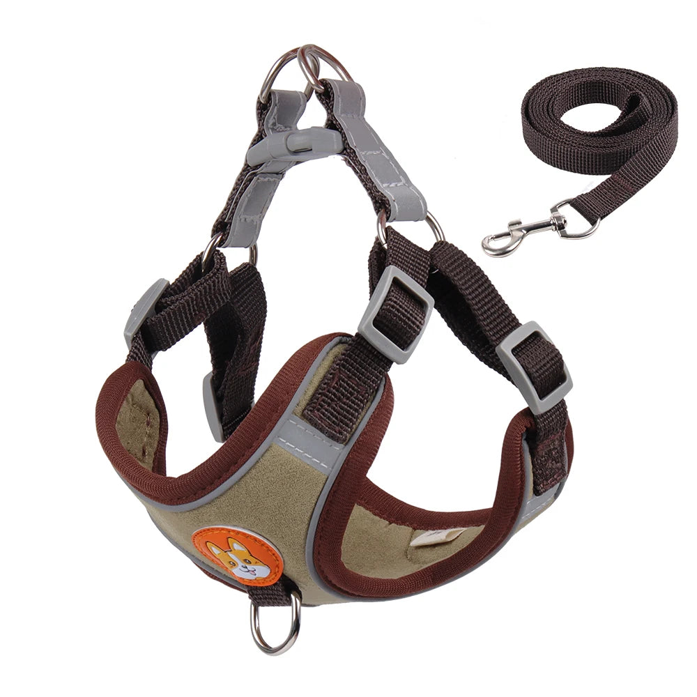 Dog harness and leash set on a white background