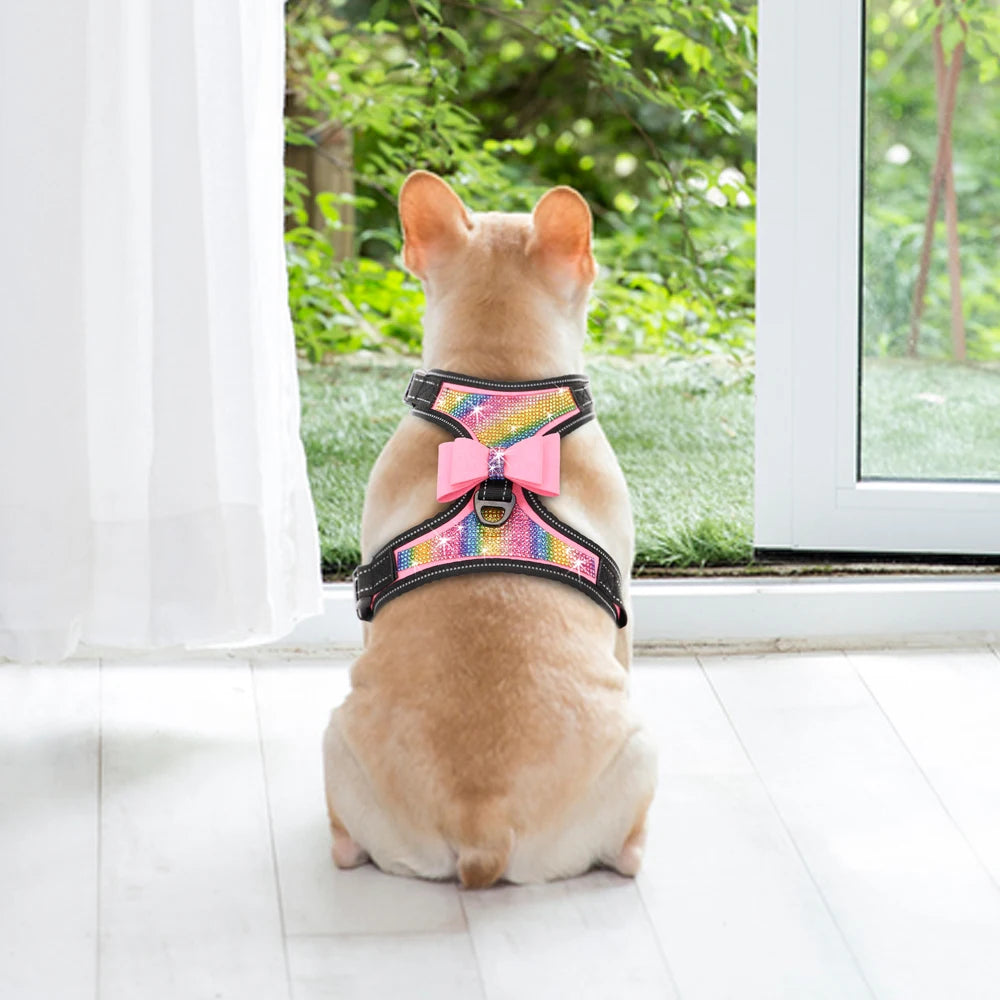 Dog wearing a colorful harness with a pink bow, sitting by a window looking outside.