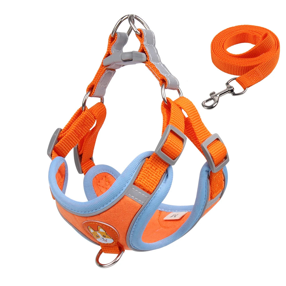 Orange dog harness and leash set on a white background