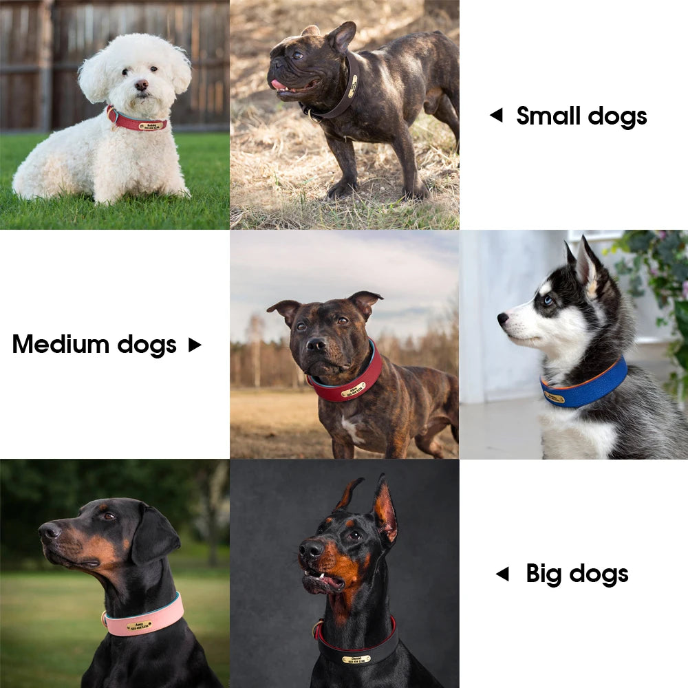Custom Engraved Genuine Leather Dog Collar – Personalized ID Plate Tag, 2-Layer Padded