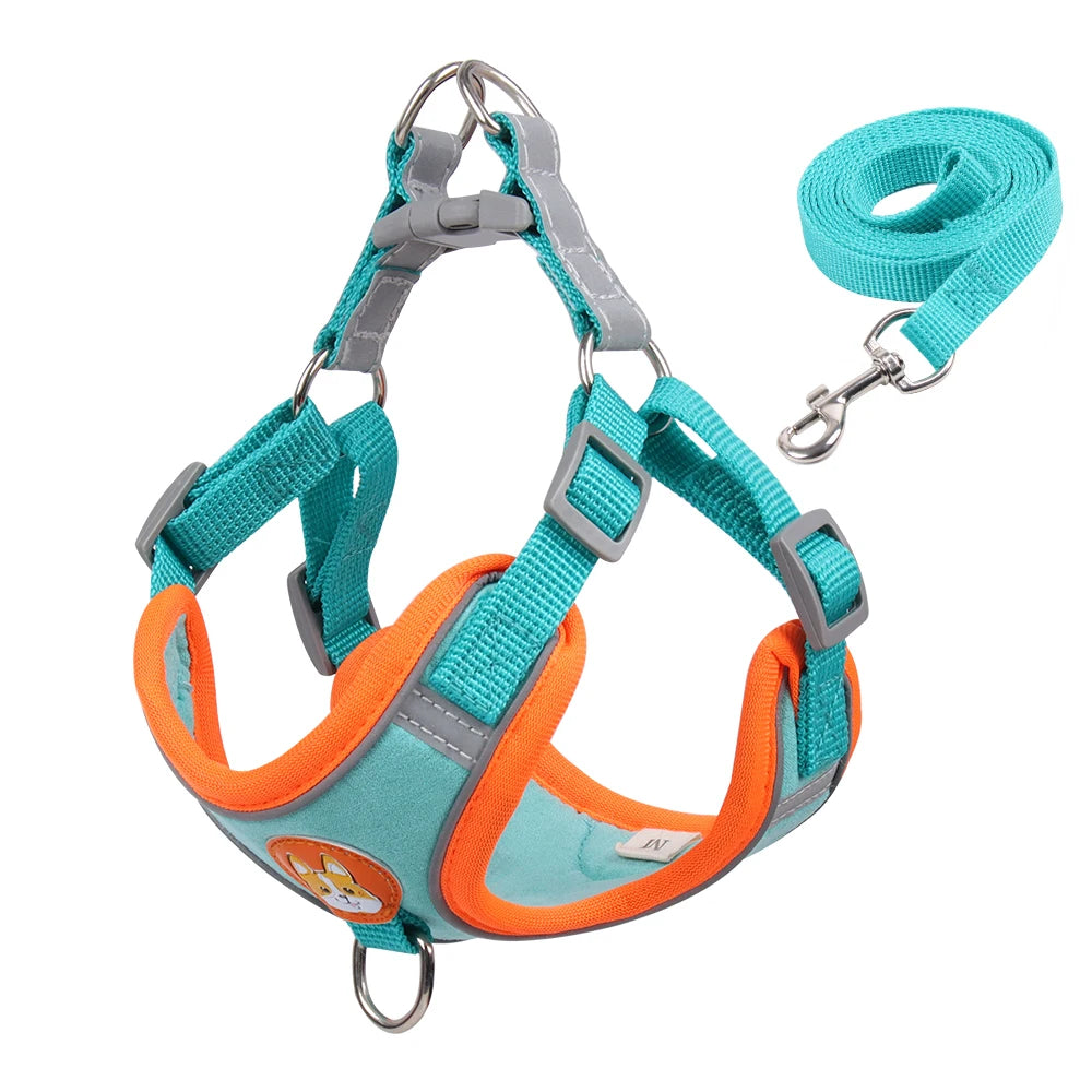 Pet harness and leash set with teal and orange design on a white background