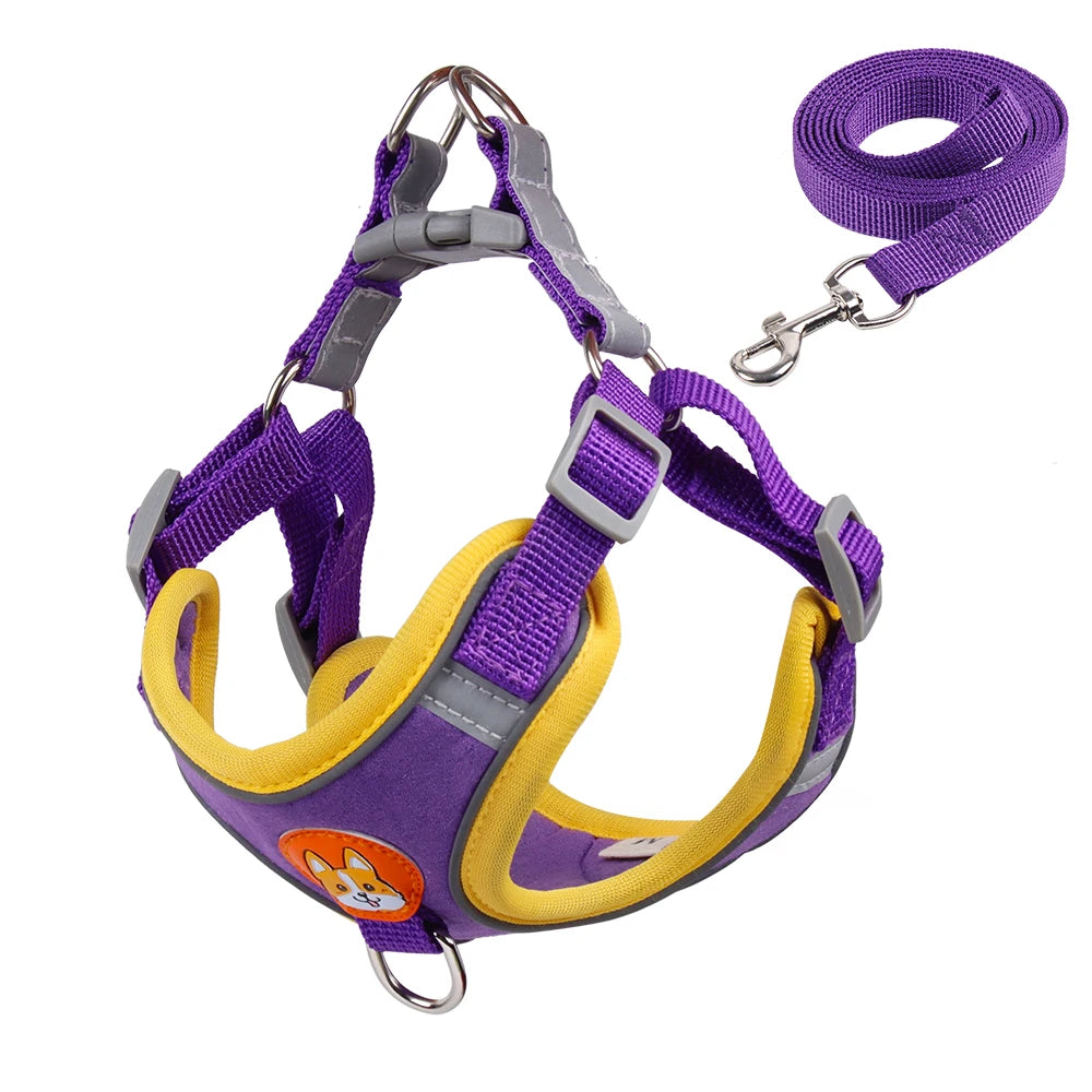 Purple and yellow dog harness with a matching leash on a white background