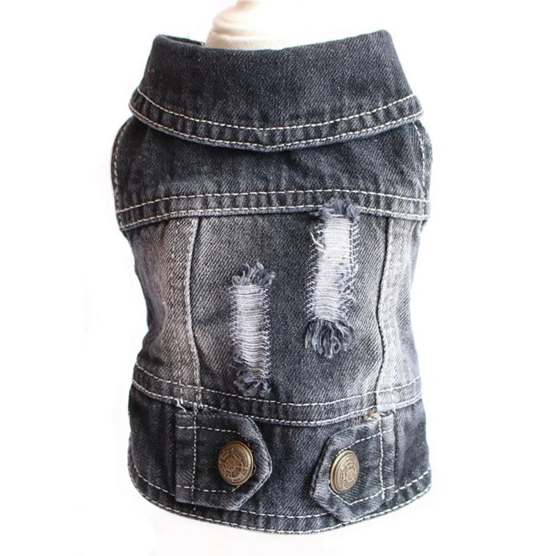 Denim dog vest with distressed details on a white background