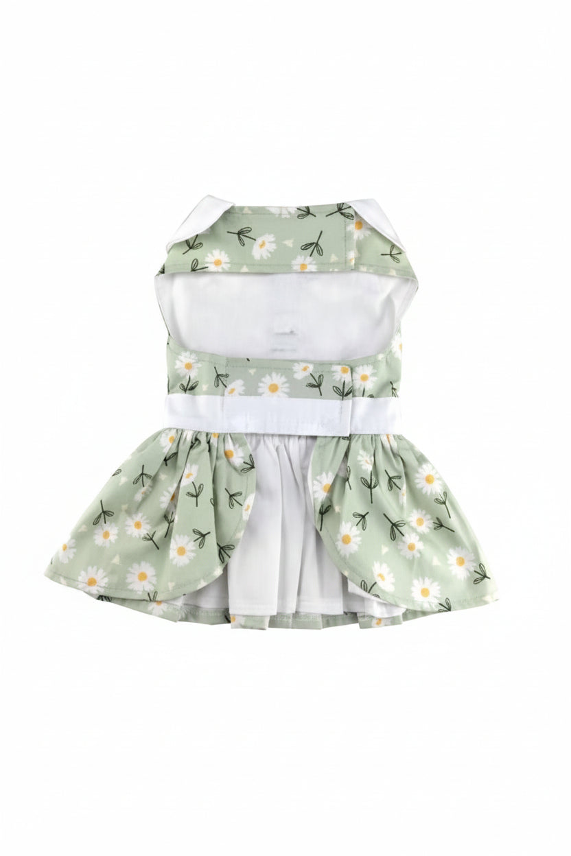 Pet dress with green floral pattern on a white background