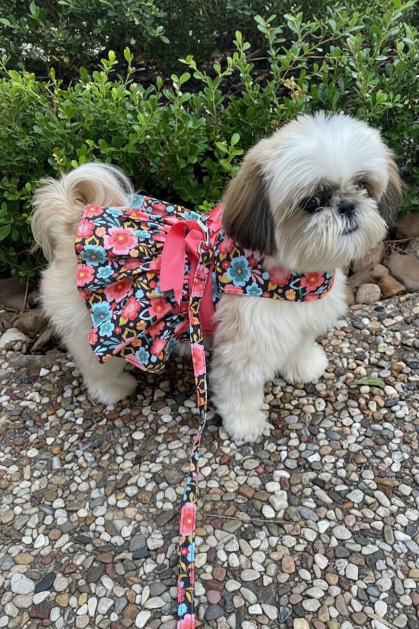 Small dog wearing a colorful floral dress with a pink bow outdoors on a pebbly surface.