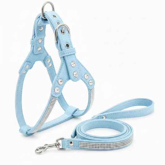 Light blue dog harness and leash set with rhinestone details on a white background