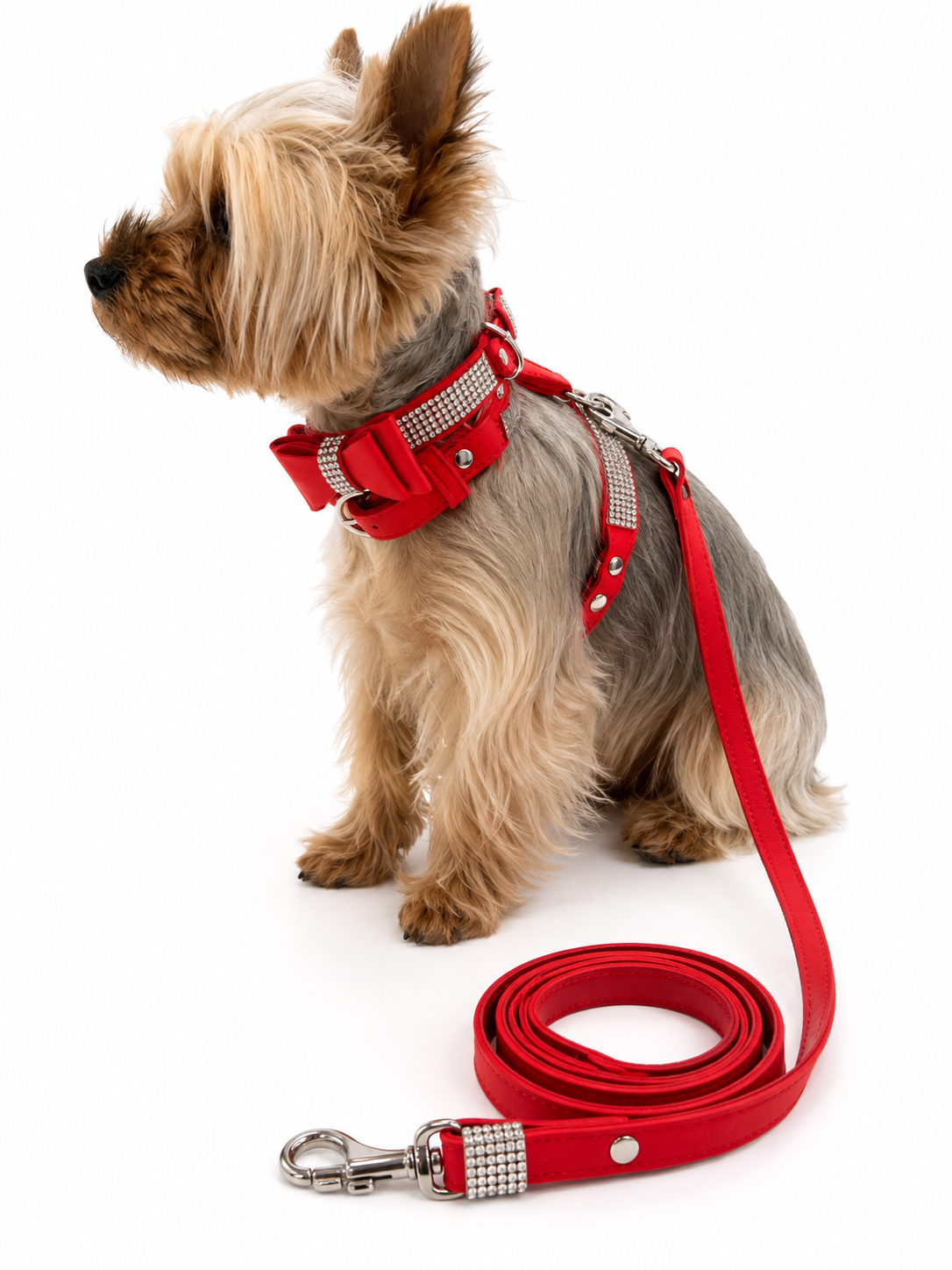 A small Yorkshire Terrier dog wearing a red harness with silver rhinestone trim and a matching red leash with a silver clasp, photographed on a clean white background.