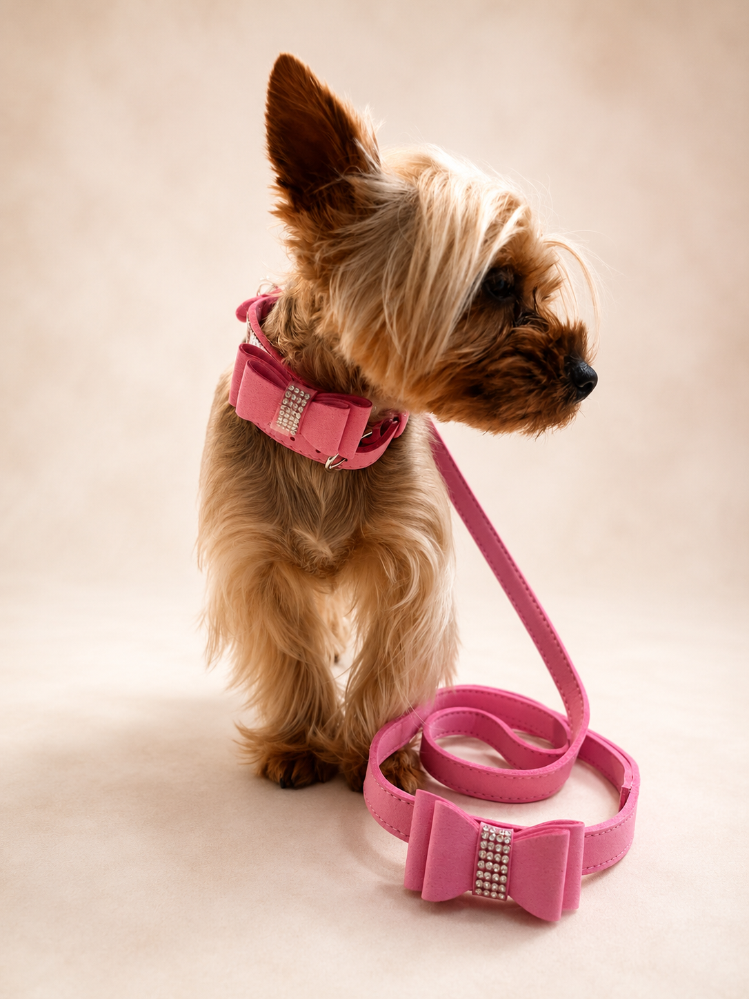 A small tan Yorkshire Terrier wearing a pink collar and matching pink leash with rhinestone accents, posed against a soft beige studio background.