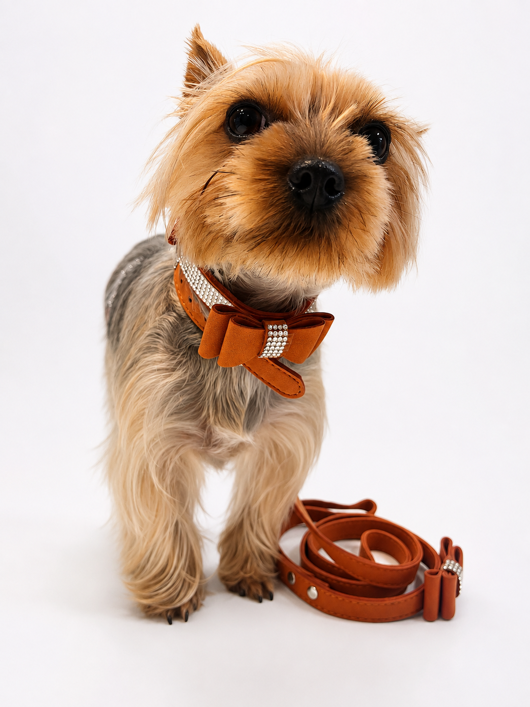 A small tan and gray dog stands on a white studio background wearing a brown leather bow tie collar with rhinestone trim and a matching brown leash coiled beside it.