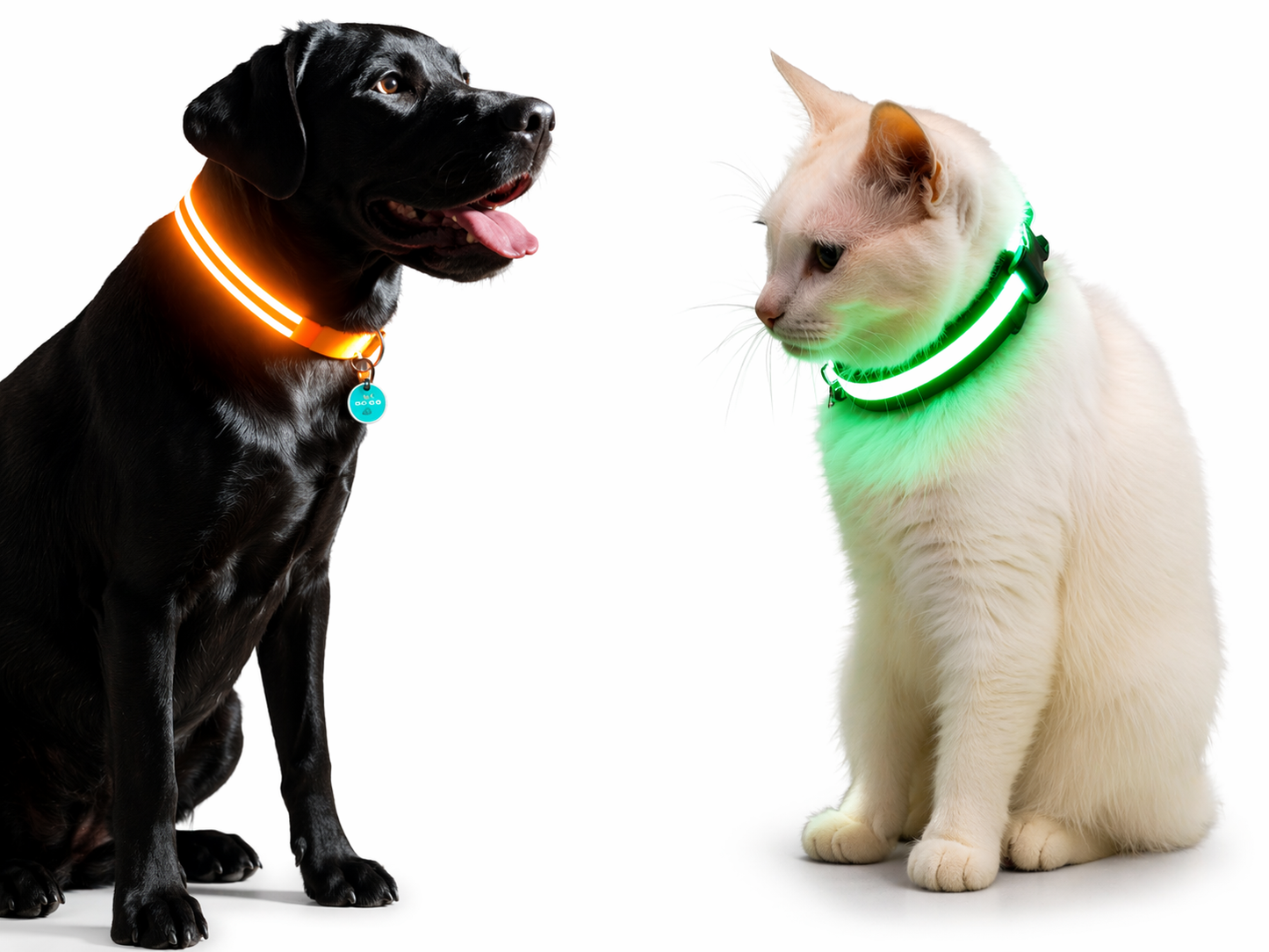 LED Dog Collar Rechargeable – Light Up Pet Collar for Night Safety Walking, Adjustable Waterproof Glow Collar for Small Medium Large Dogs