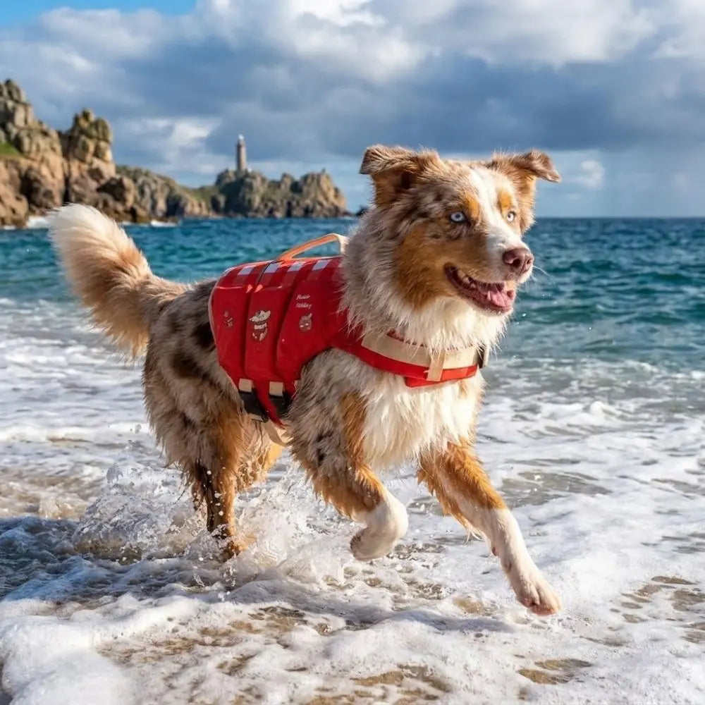 Waterproof Dog Life Jacket – High Buoyancy Thick Sponge Pad Safety Vest for Swimming