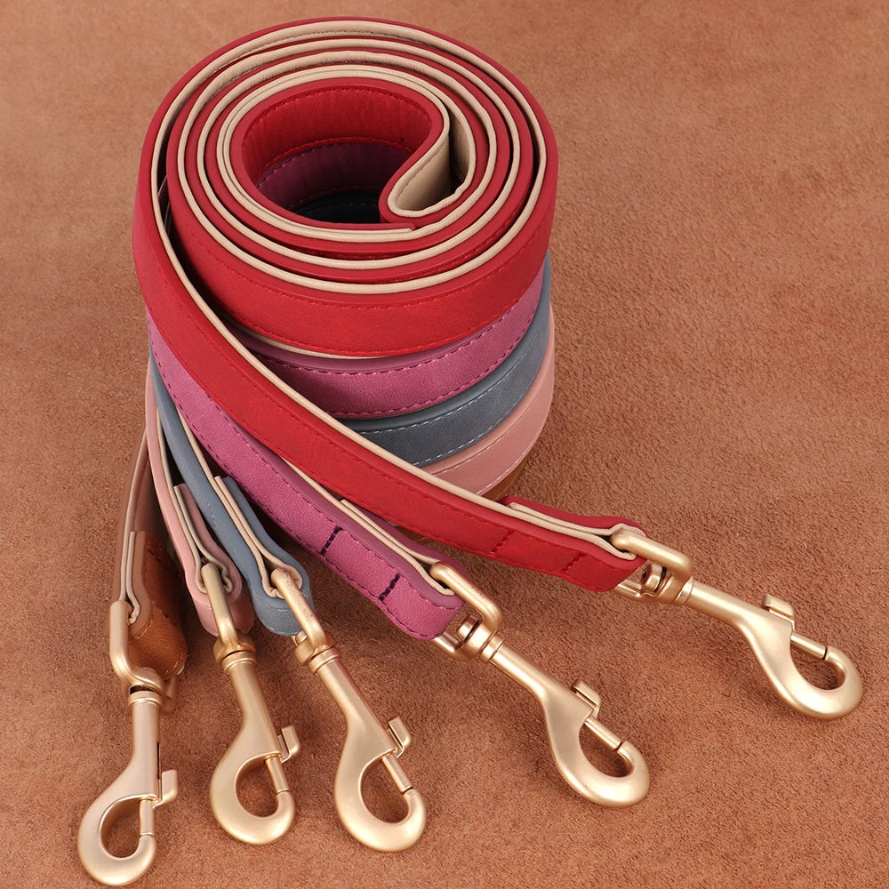 Personalized PU Leather Dog Collar & Leash Set – Free Custom ID Nameplate