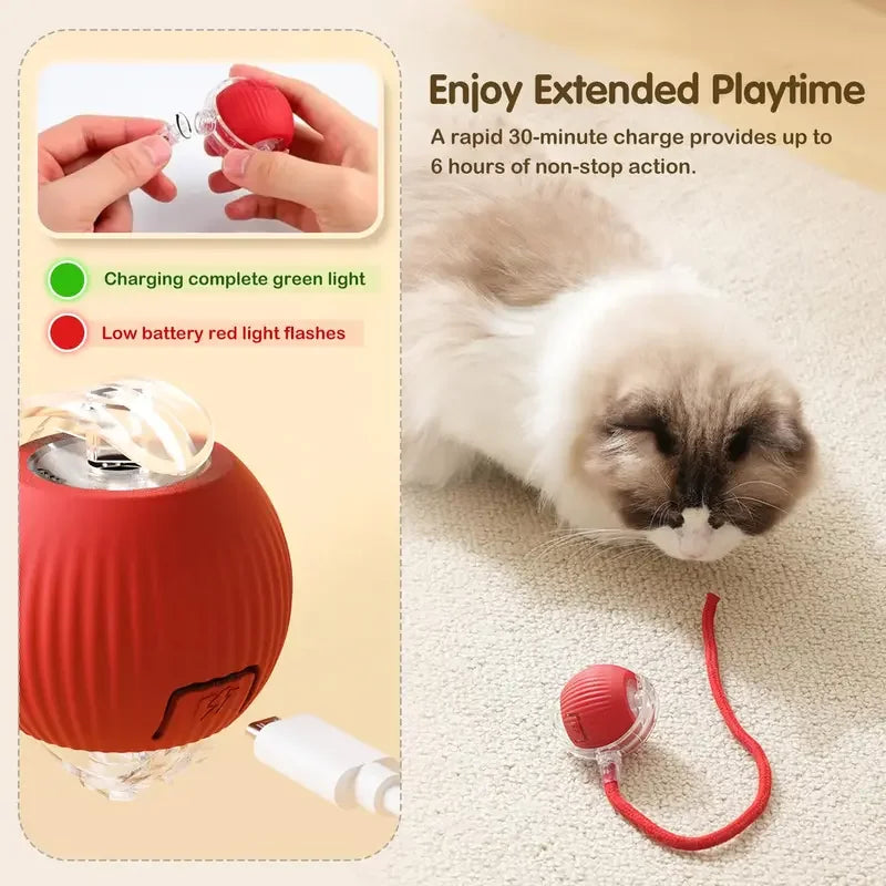 Interactive Rolling Ball Cat Toy with Tail – USB Rechargeable