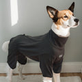 High-Collar Stretch Dog Pajamas for Large Dogs