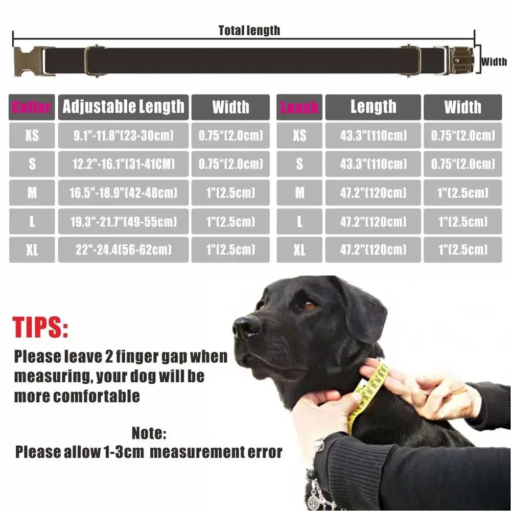 Free Engraving Personalized Dog Collar & Matching Leash – Custom ID Name Tag