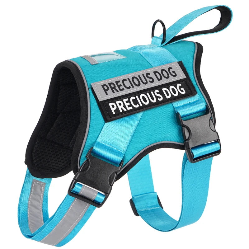 Blue dog harness with 'PRECIOUS DOG' label on a white background