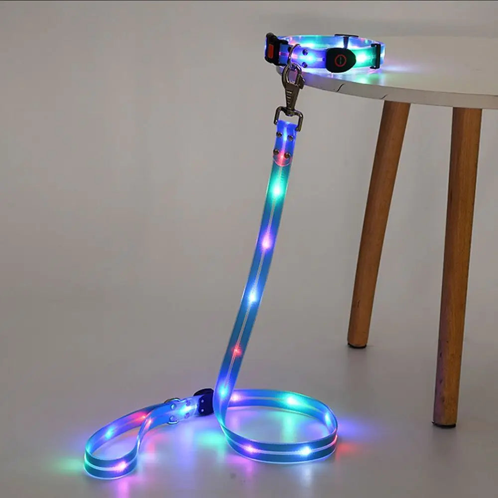 LED dog collar and leash on a white surface with a wooden leg in the background