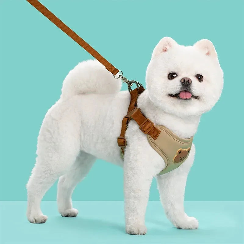 Cute Bear Pattern Dog Harness & Leash Set – Breathable Adjustable Vest for Small Dogs