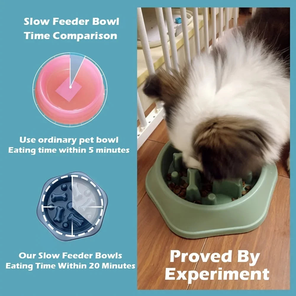 Large Capacity Slow Feeder Bowl for Dogs & Cats – Anti-Slip, Anti-Choking