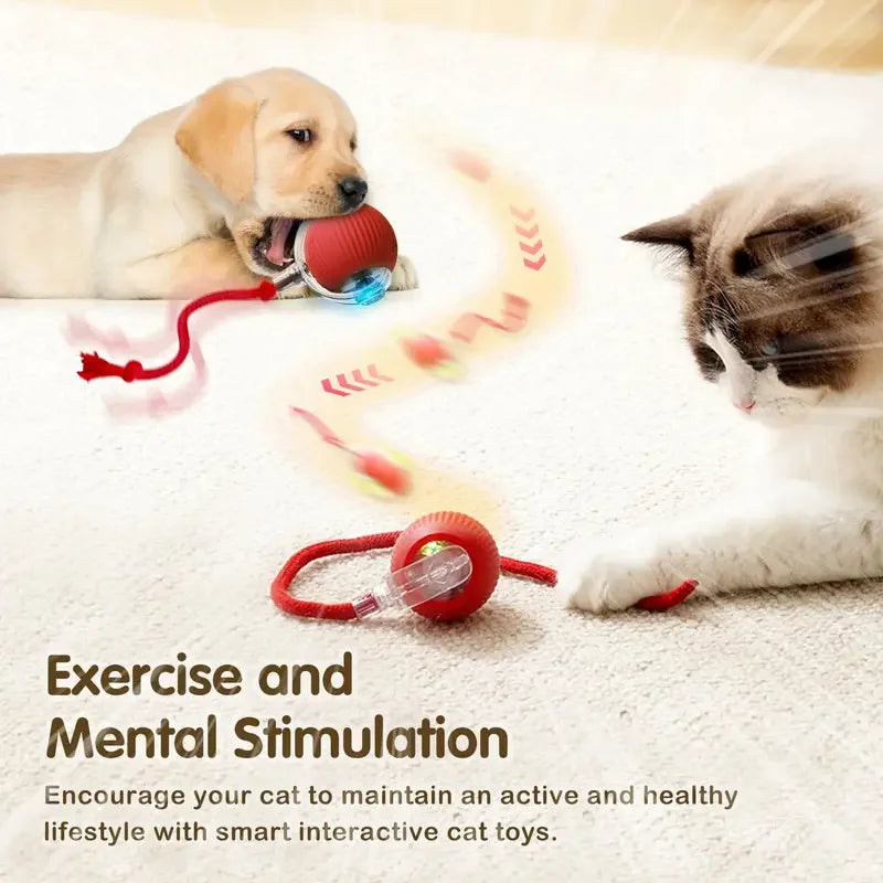 Interactive Rolling Ball Cat Toy with Tail – USB Rechargeable
