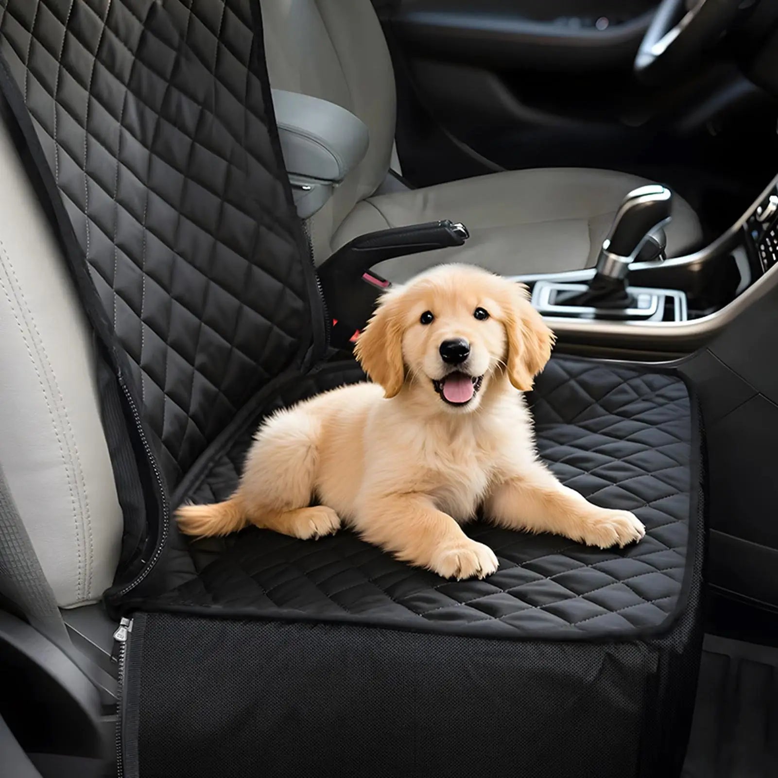 Pet Booster Car Seat with Adjustable Barrier & Storage Pockets – Small to Medium Dogs