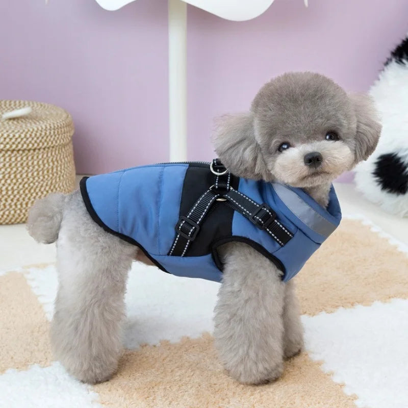 Padded Winter Dog Jacket with Built-In Harness – Reflective Zipper Coat for Small Dogs & Cats