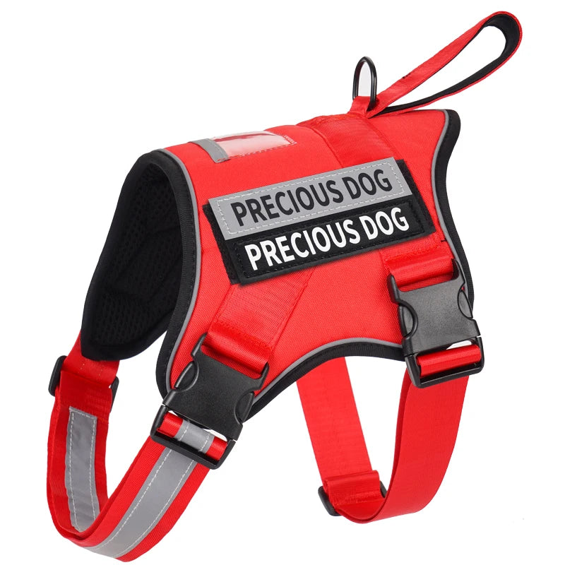 Red dog harness with 'PRECIOUS DOG' label on a white background