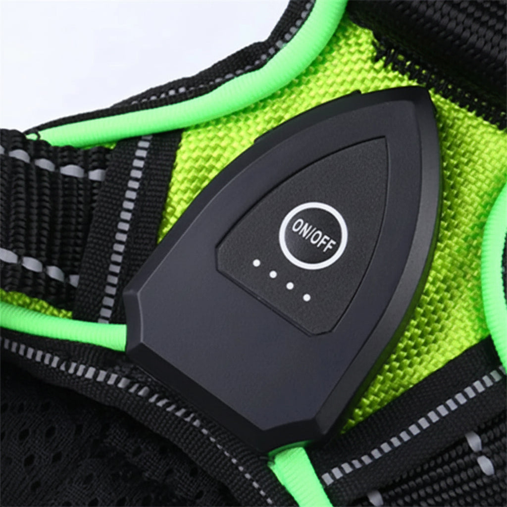 LED Light-Up Dog Harness – USB Rechargeable Glow Vest for Night Walking
