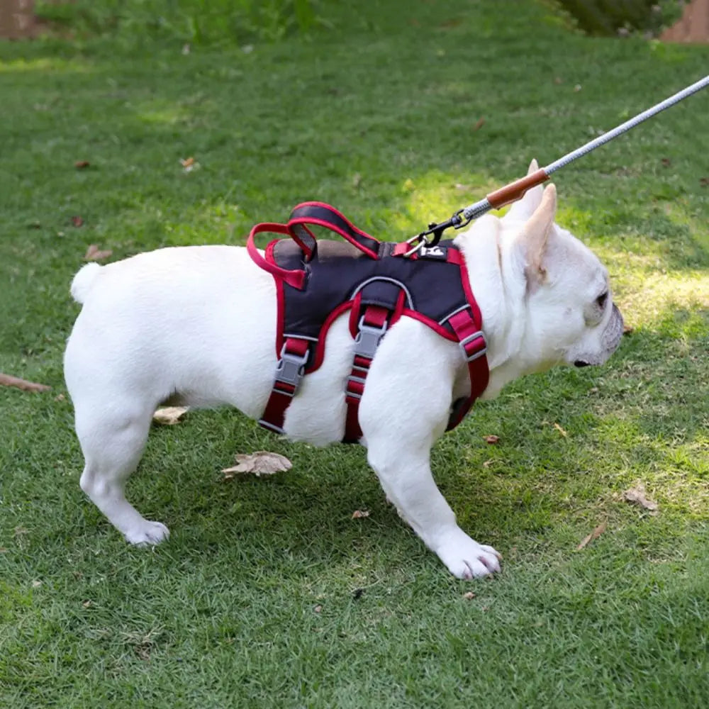 Reflective Oxford Dog Harness Vest with Handle – Adjustable, Breathable & Escape-Proof