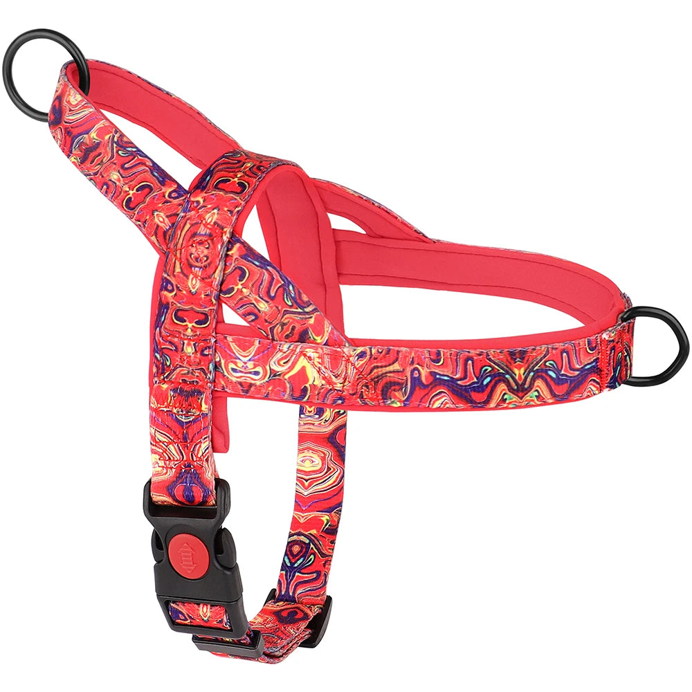 Colorful dog harness with a vibrant pattern on a white background